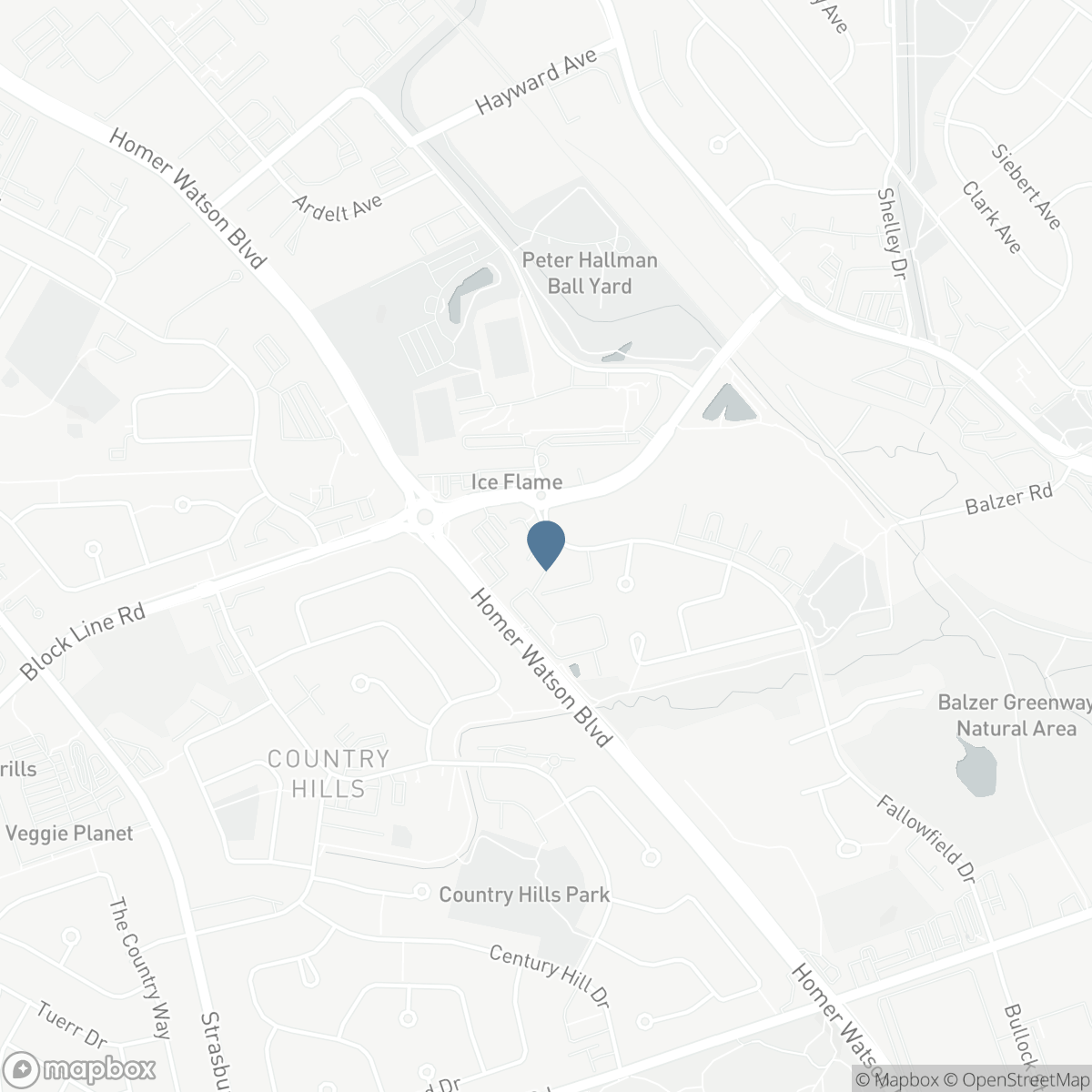 10 FALLOWFIELD Drive Unit# 19, Kitchener, Ontario N2C 0A4